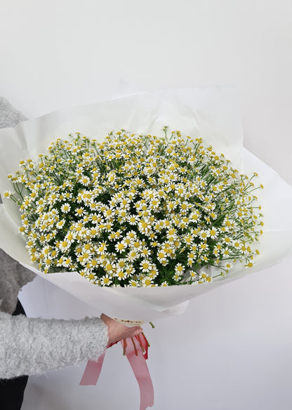 Bouquet de de saison - Camomille (Matricaire)