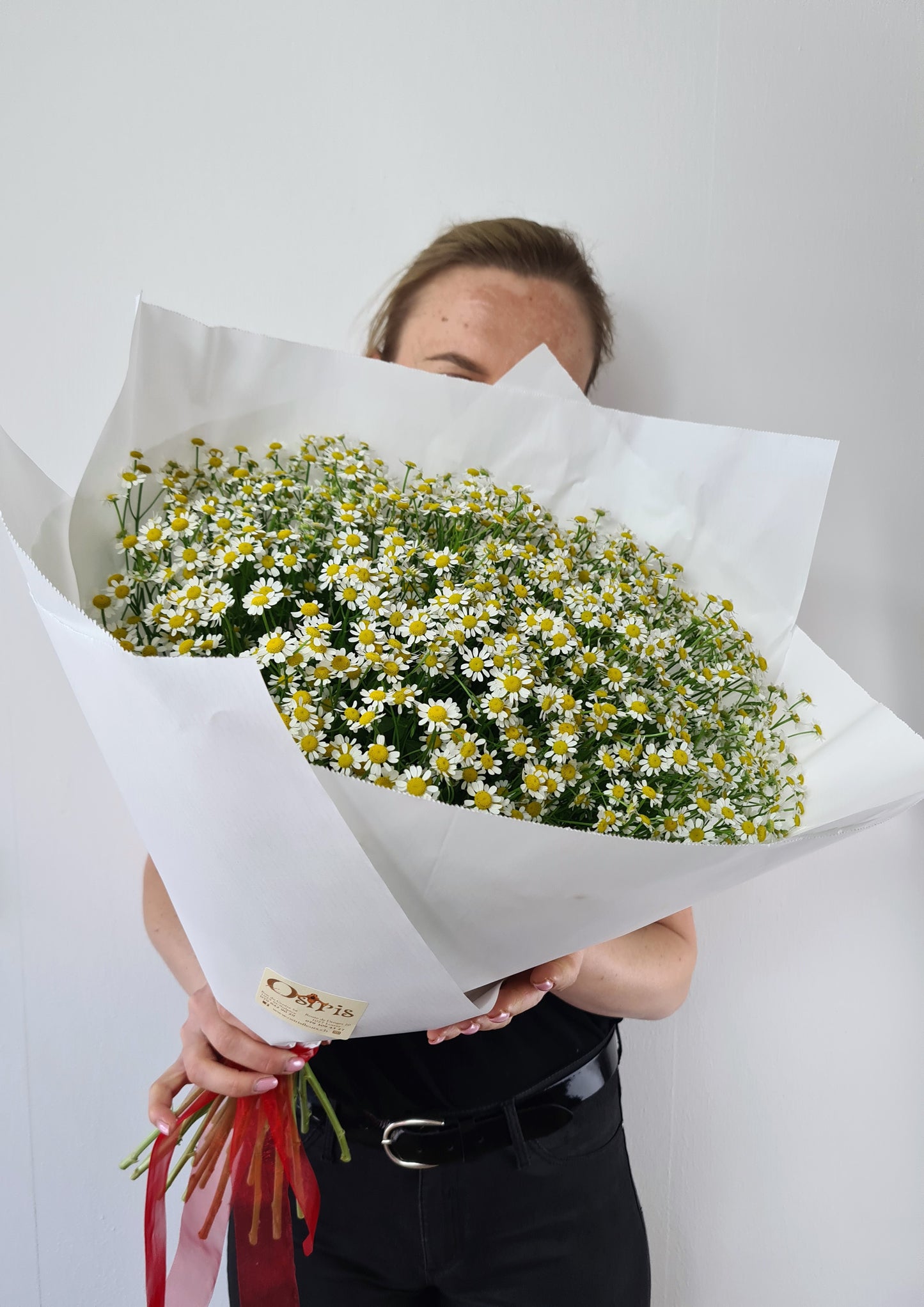 Bouquet de de saison - Camomille (Matricaire)