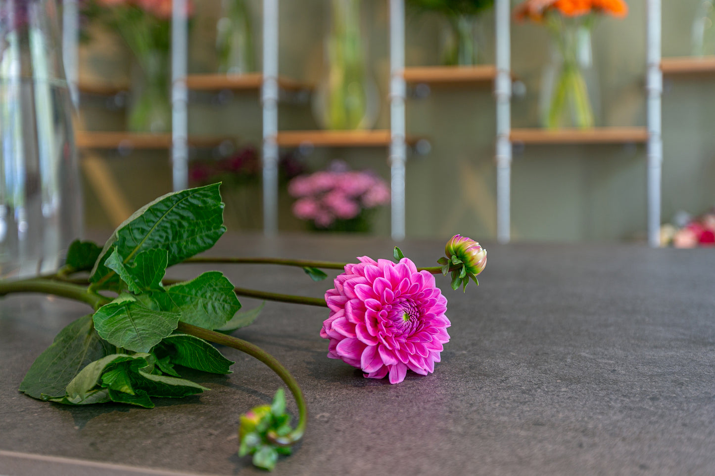Bouquet de saison - Dahlia