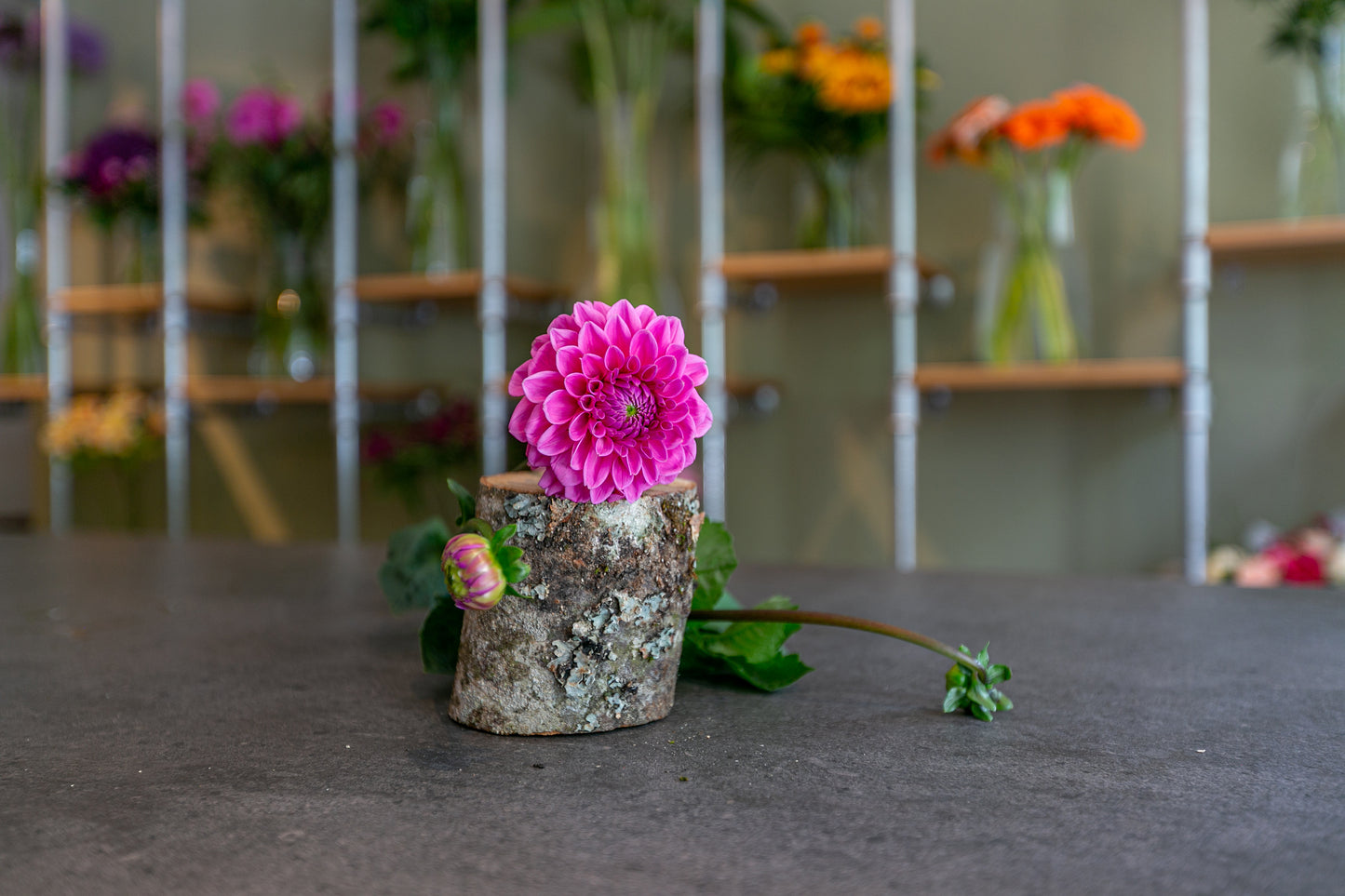 Bouquet de saison - Dahlia