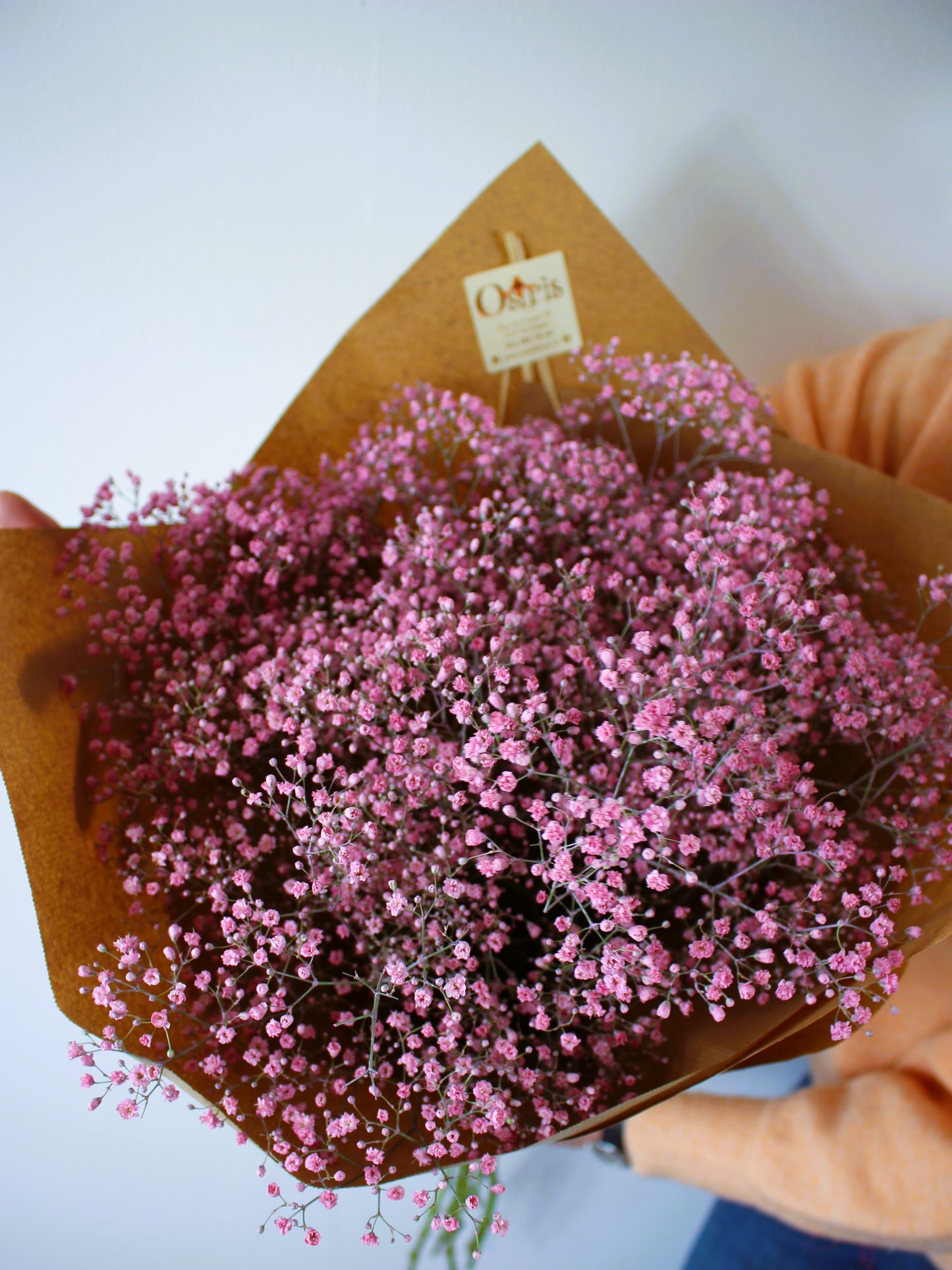 Bouquet annuel - Gypsophila Rose