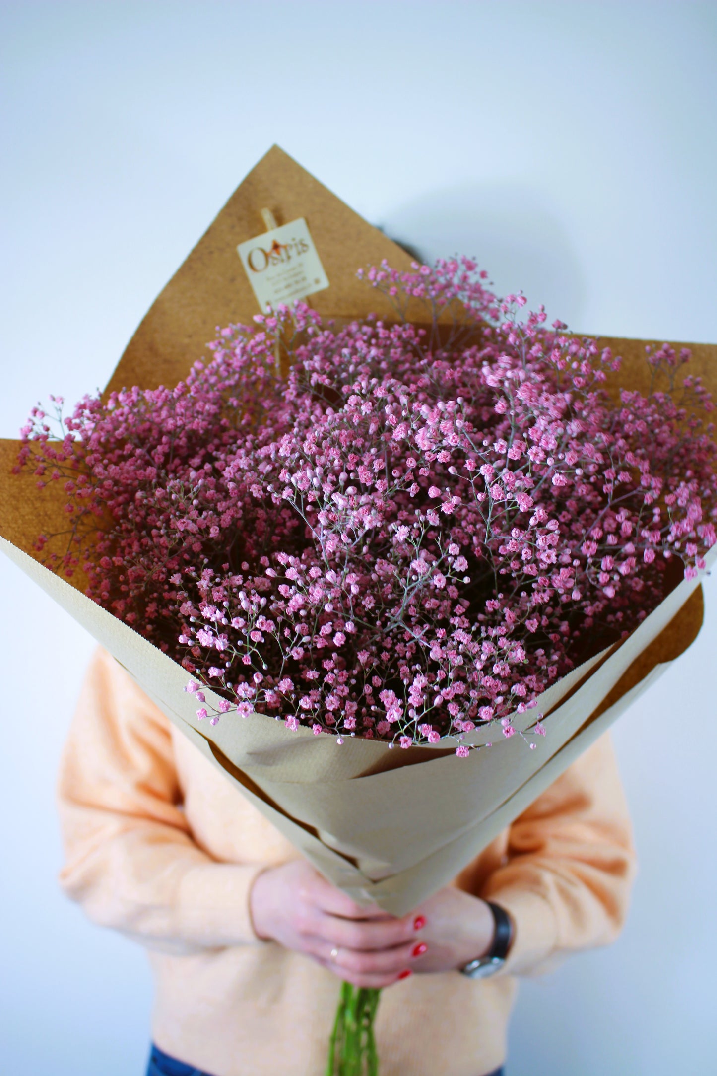 Bouquet annuel - Gypsophila Rose