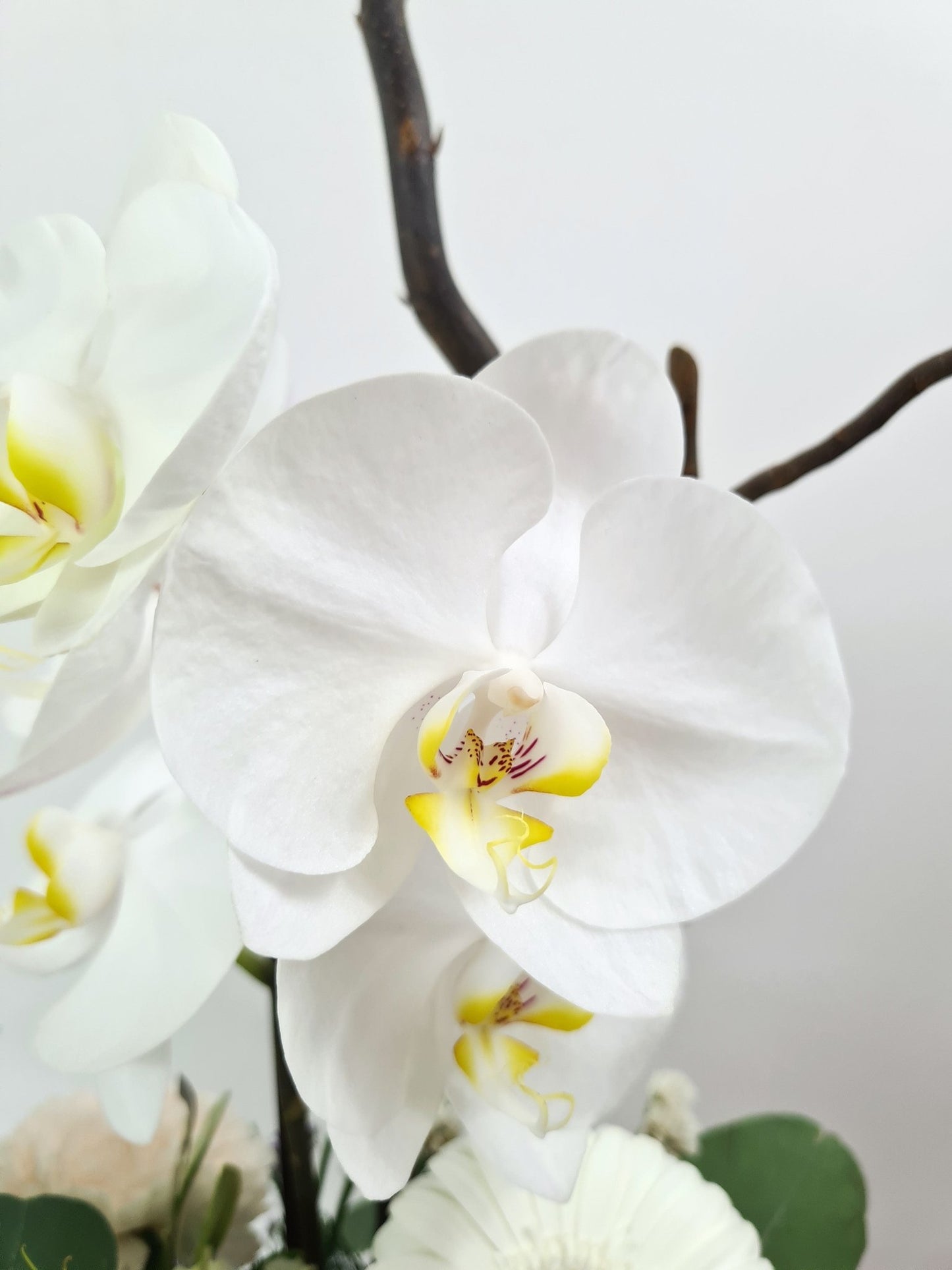 Arrangement en hauteur avec une branche d'orchidée - Osiris Fleurs