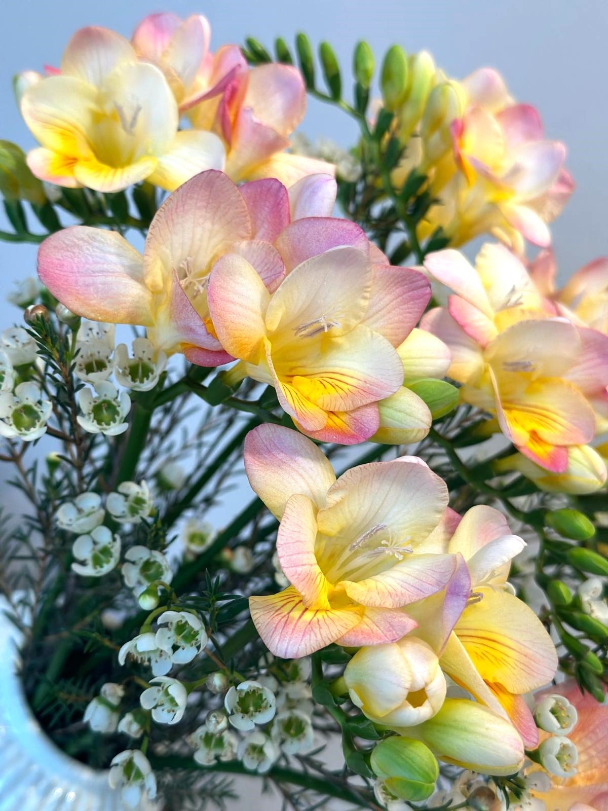 Bouquet annuel - Freesia - Osiris Fleurs