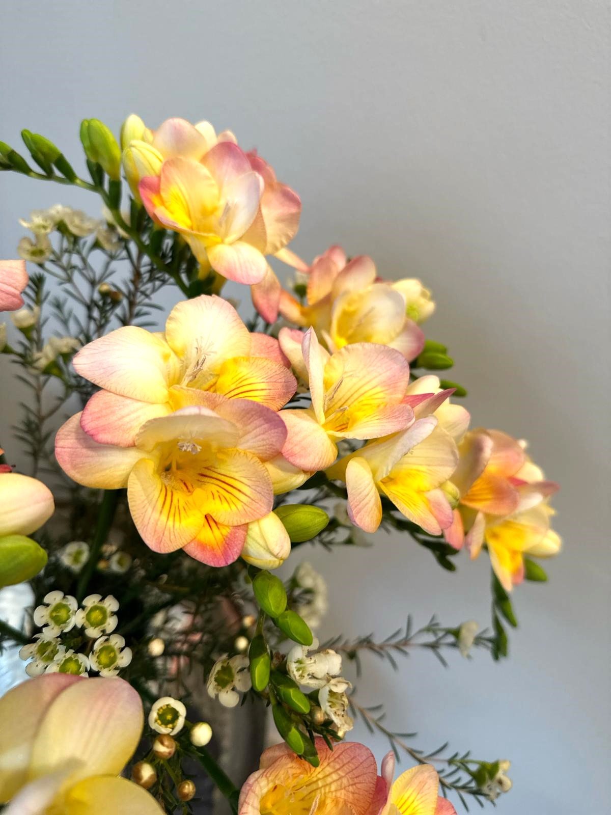 Bouquet annuel - Freesia - Osiris Fleurs