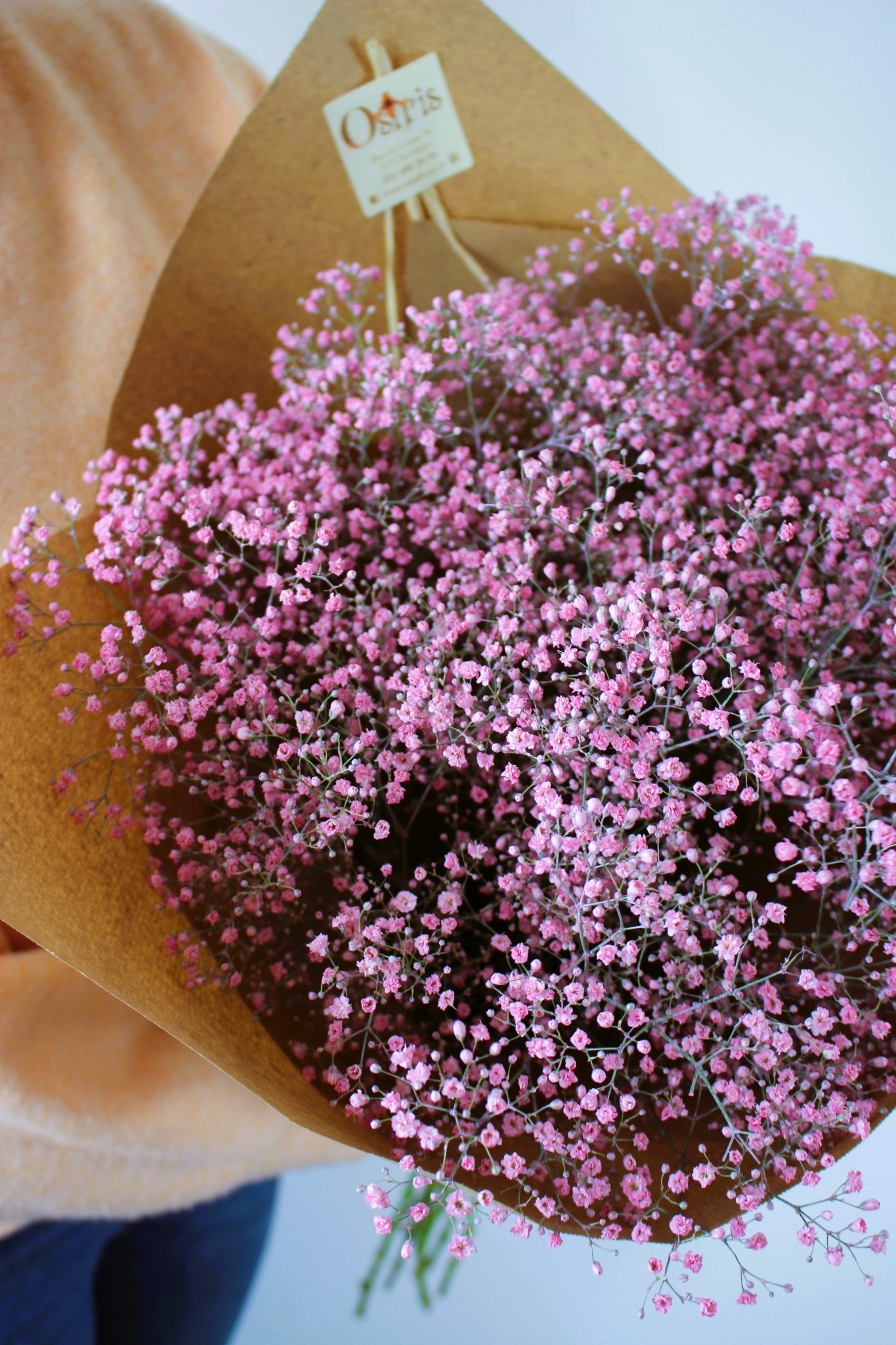 Bouquet annuel - Gypsophile Taintée - Osiris Fleurs