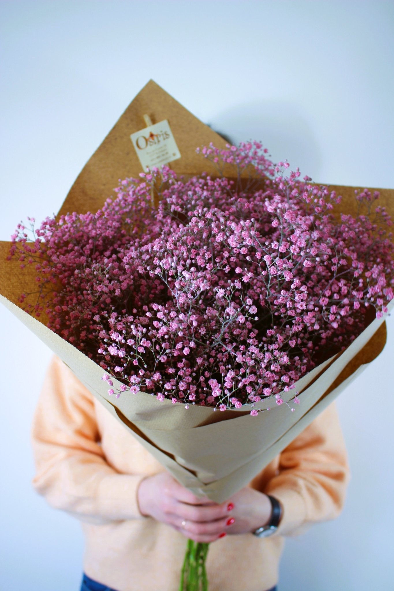 Bouquet annuel - Gypsophile Taintée - Osiris Fleurs