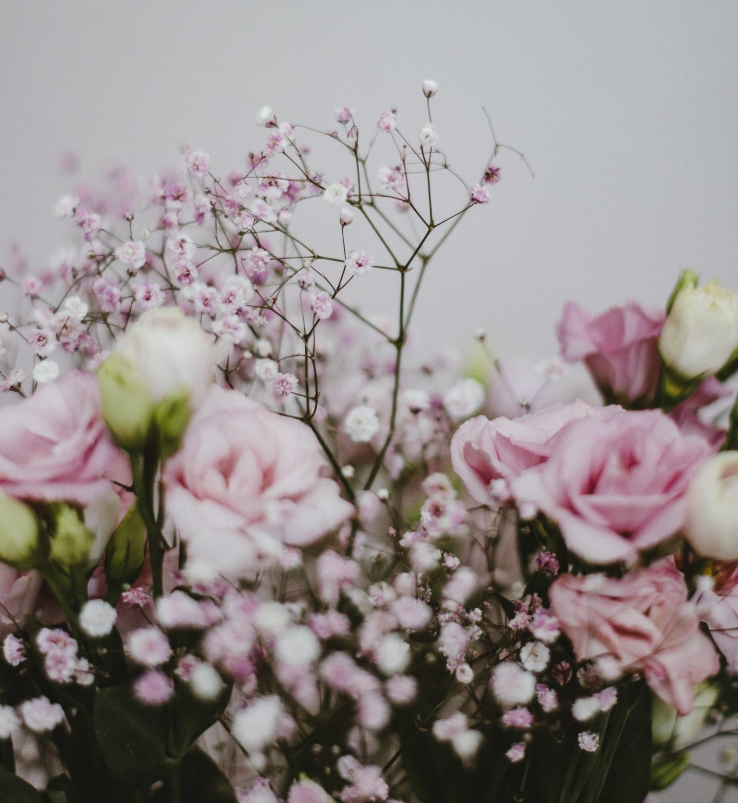 Bouquet annuel - Satin - Osiris Fleurs