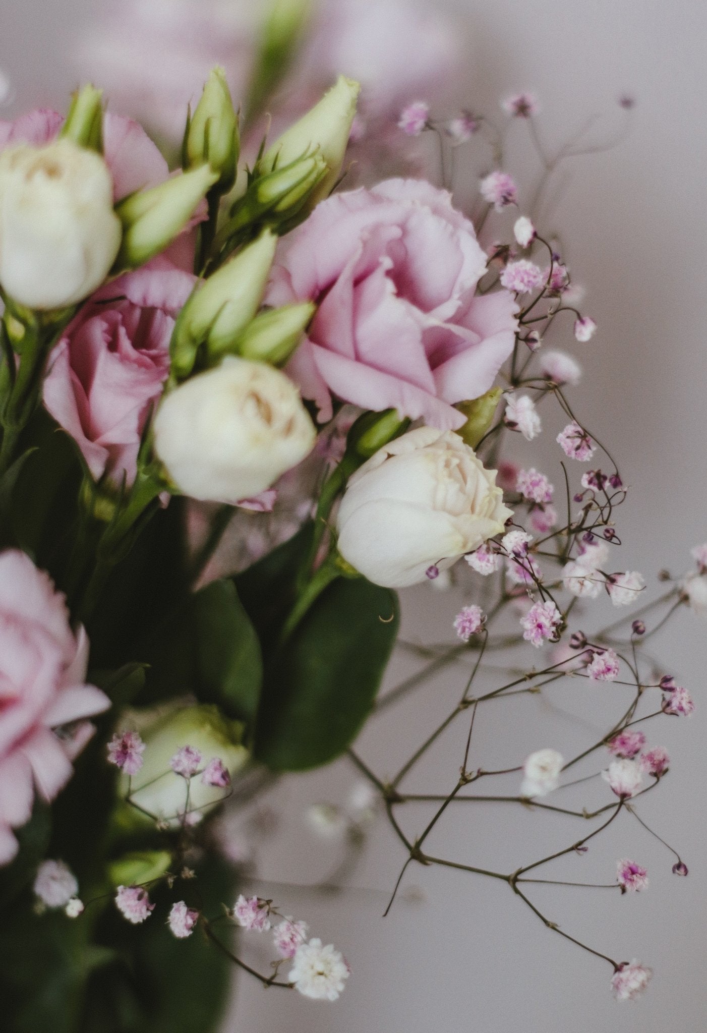 Bouquet annuel - Satin - Osiris Fleurs