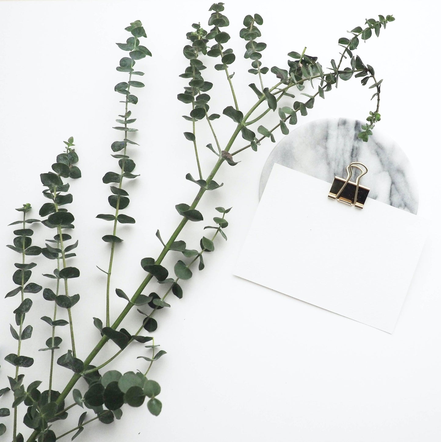 Bouquet d'eucalyptus - Osiris Fleurs
