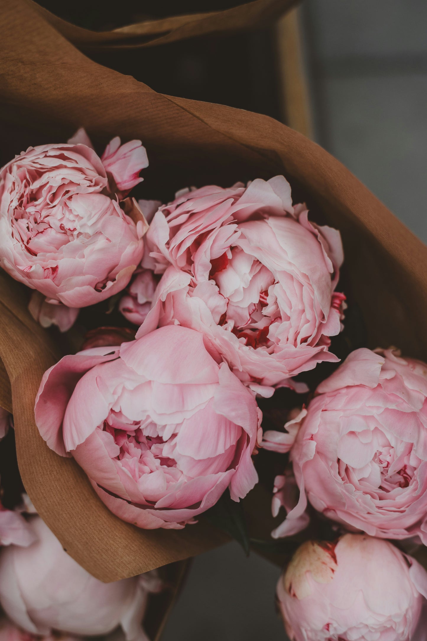 Bouquet de saison - Pivoines Roses