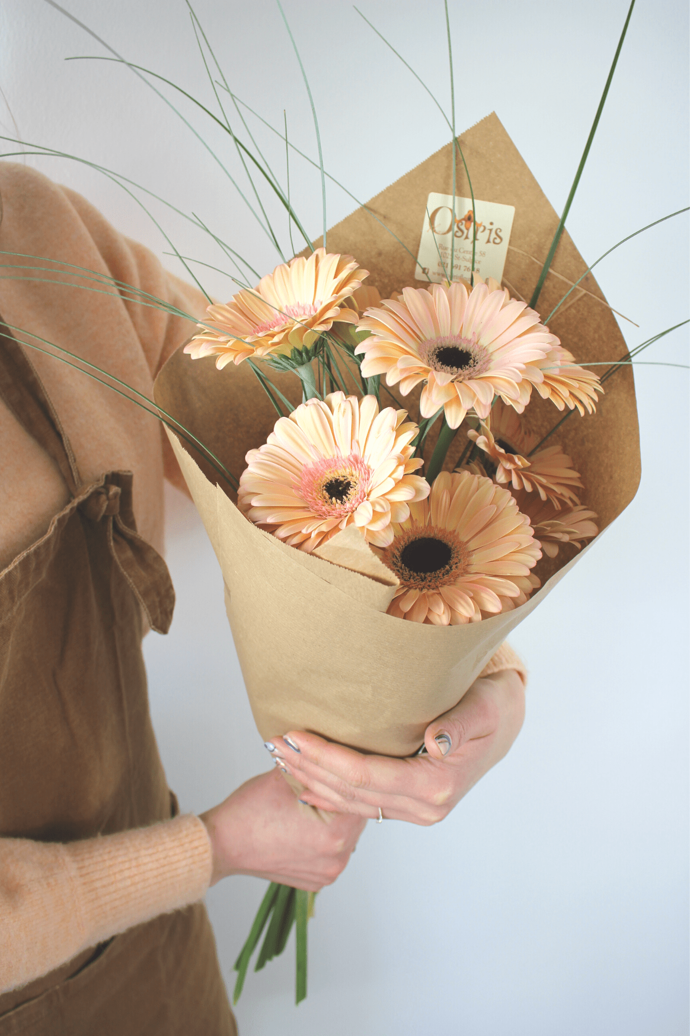 Bouquet annuel - Gerbera Pastels