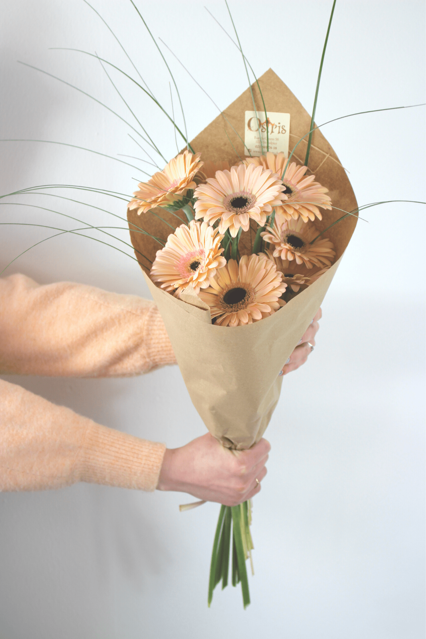 Bouquet annuel - Gerbera Pastels