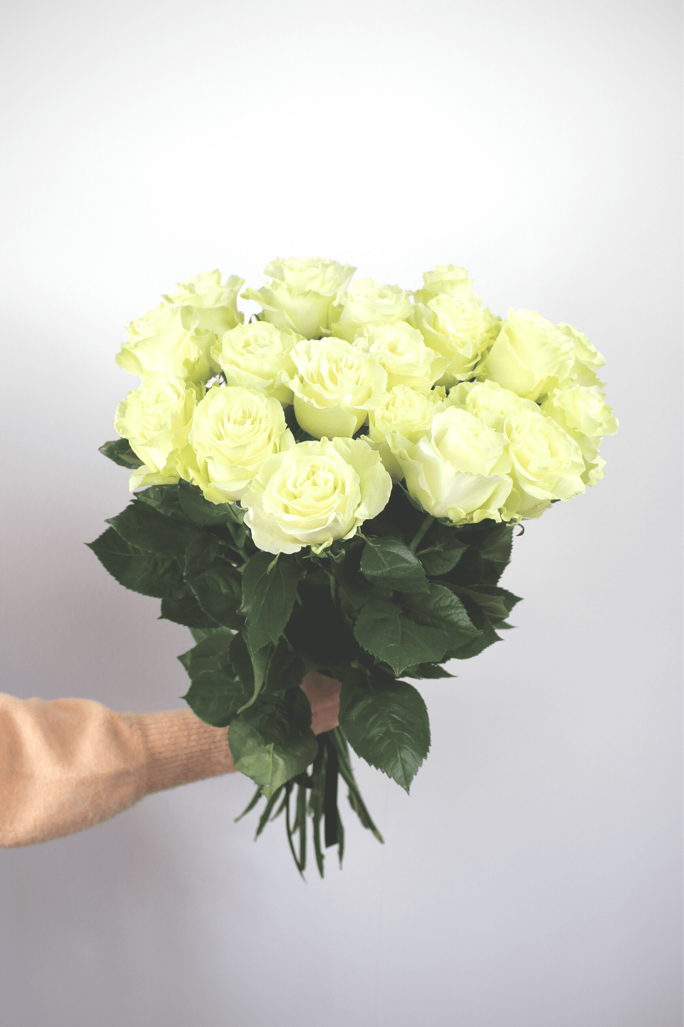 Bouquet annuel - Roses Blanches - Osiris Fleurs