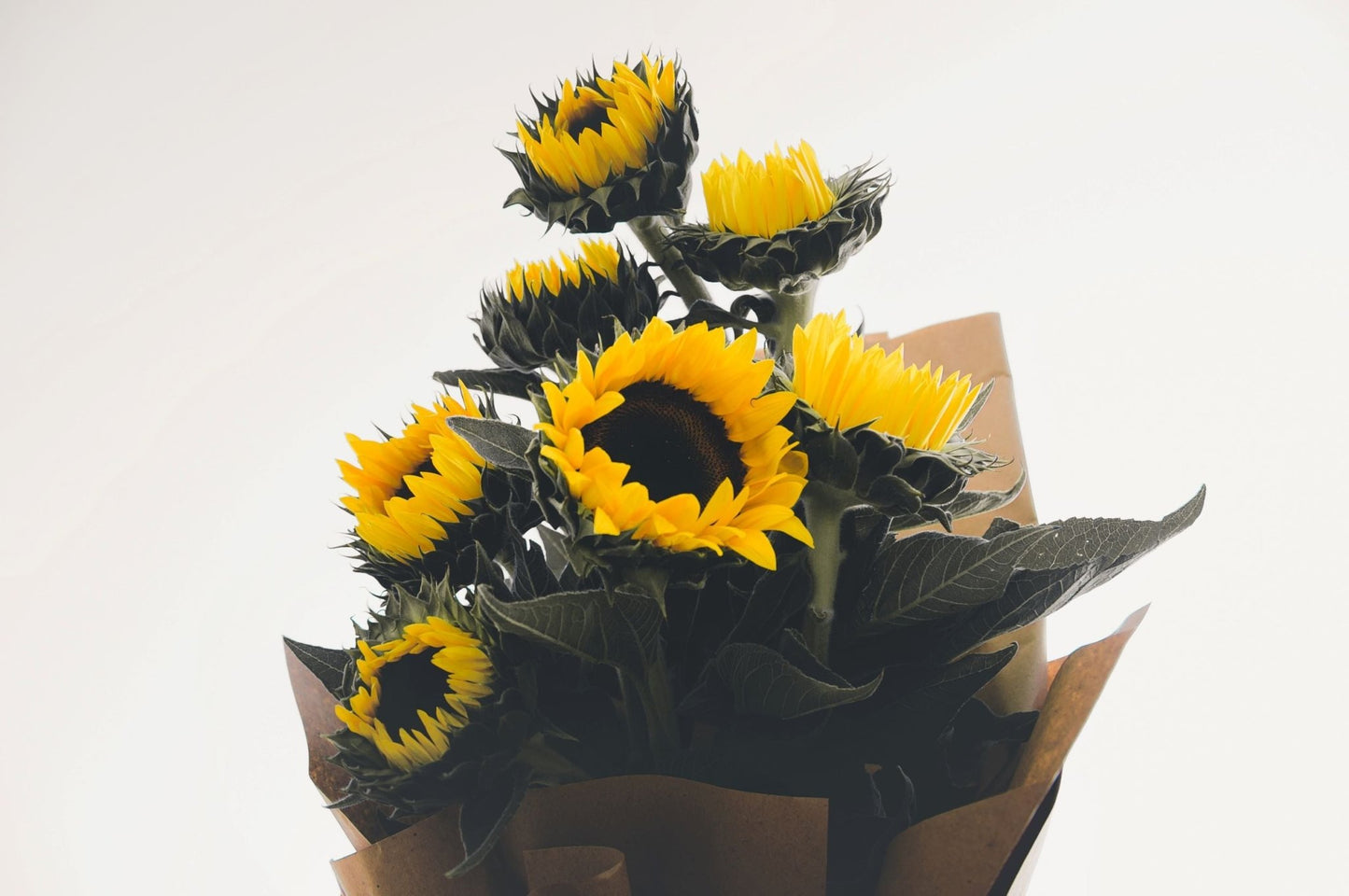 Bouquet de saison - Tournesols du pays - Osiris Fleurs