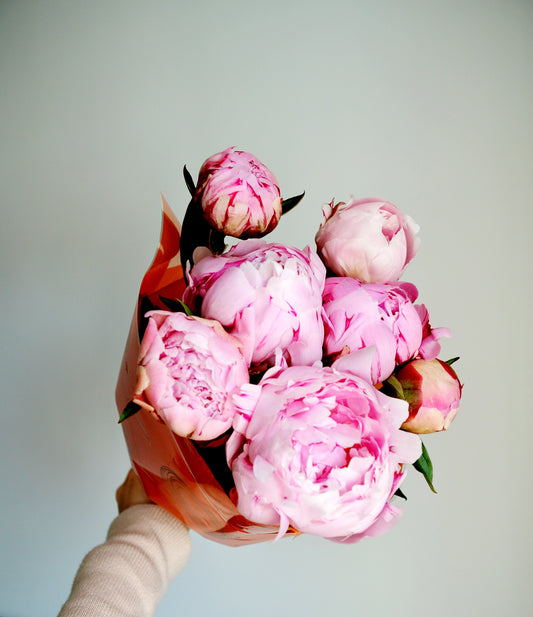Bouquet de saison - Pivoines Roses