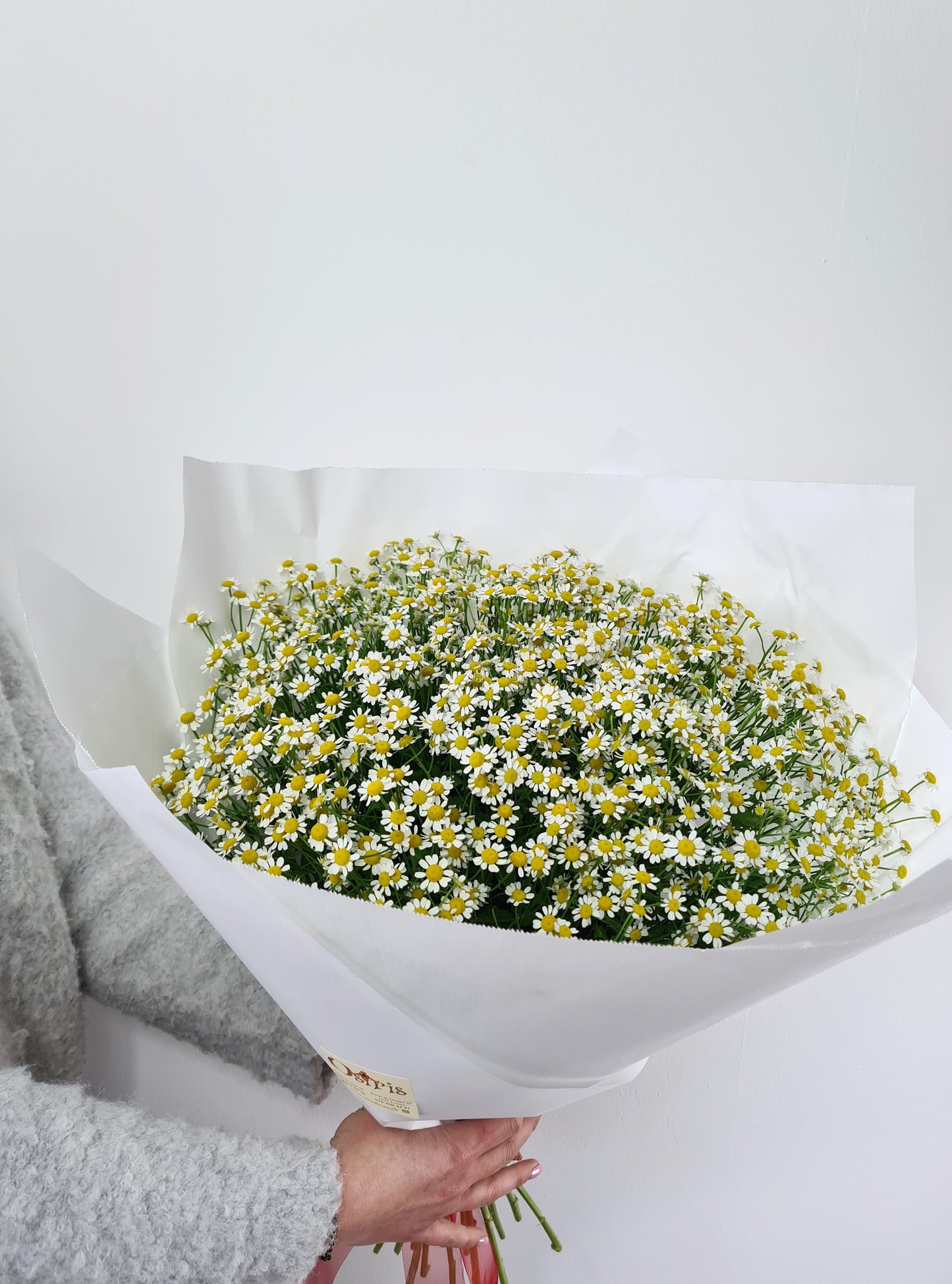 Seasonal bouquet - Chamomile (Matricaria)