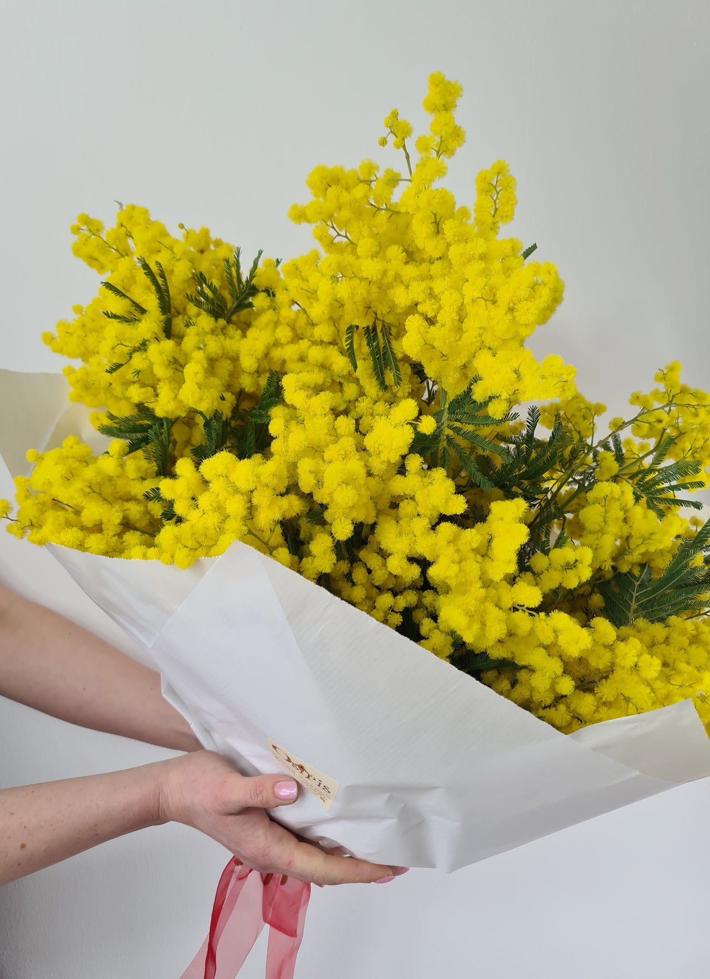 Bouquet de saison - Mimosa