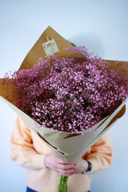 Bouquet annuel - Gypsophile Taintée - Osiris Fleurs