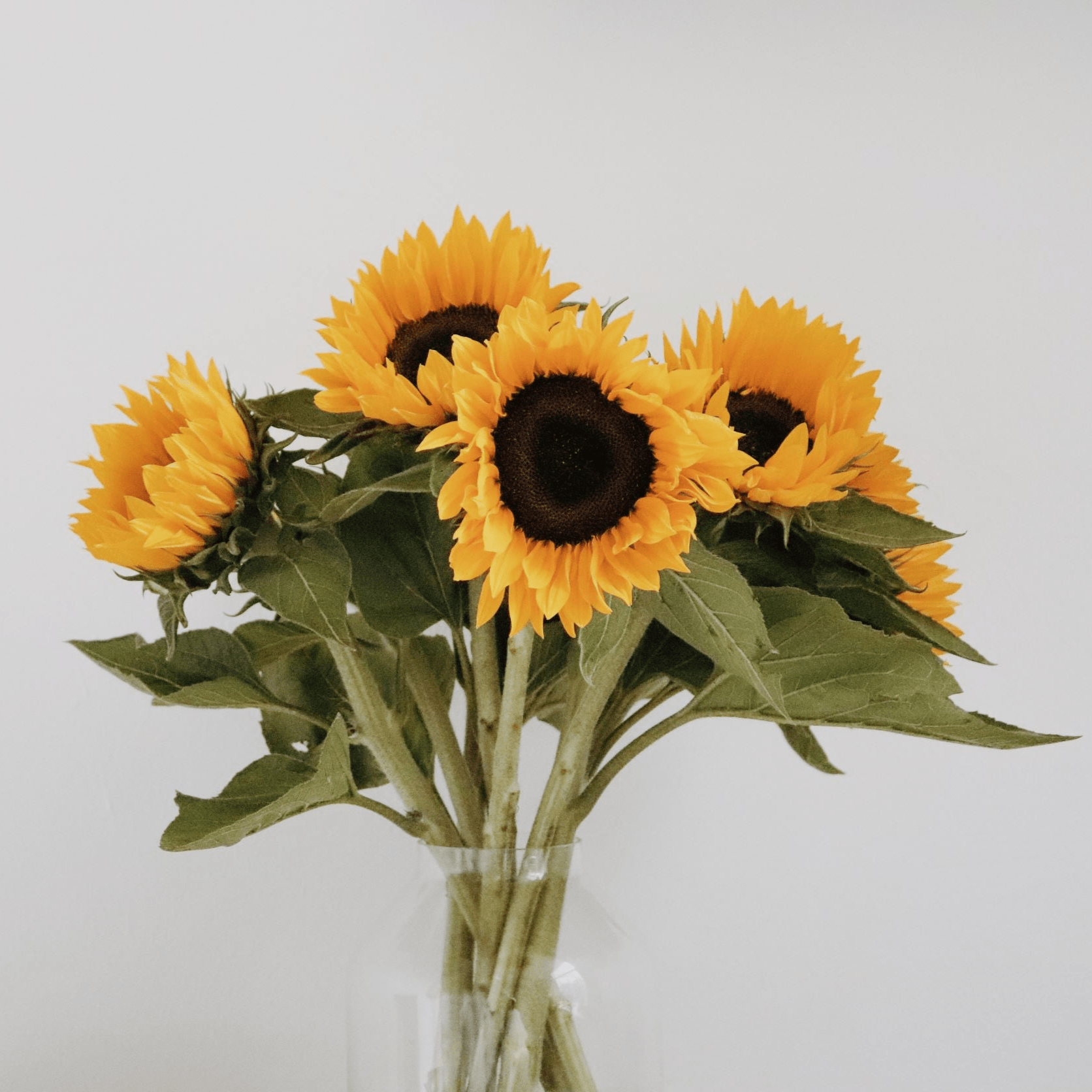 Bouquet de saison - Tournesols du pays - Osiris Fleurs