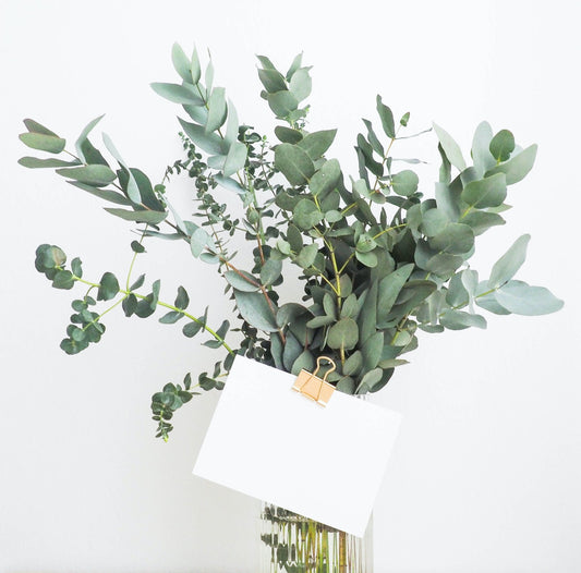 Bouquet d'eucalyptus - Osiris Fleurs