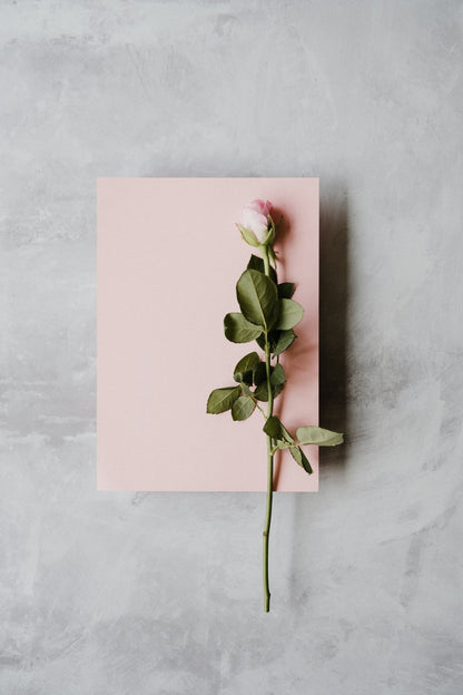 Bouquet Spécial - Fête des Mères - Osiris Fleurs