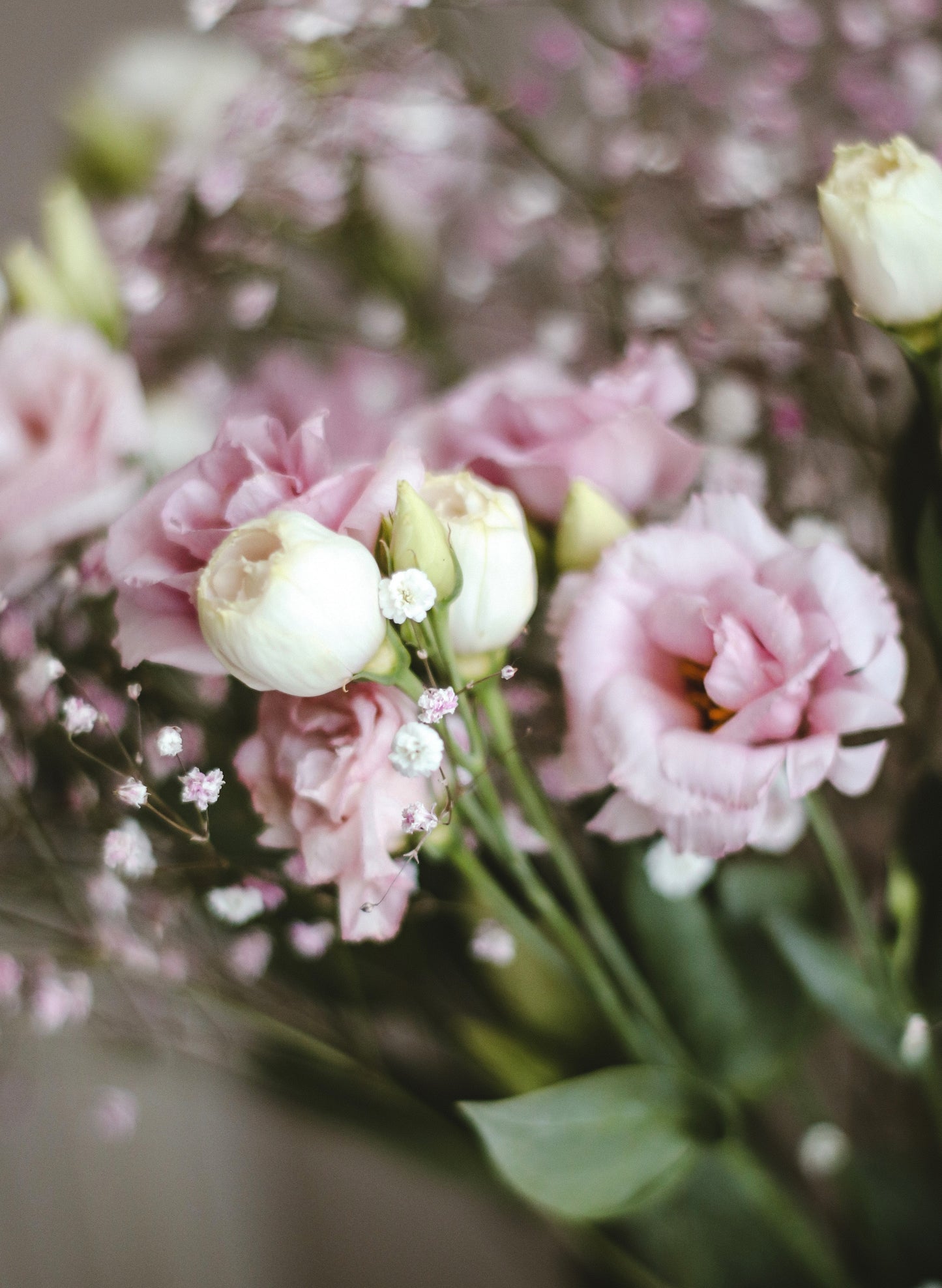 Bouquet annuel - Satin