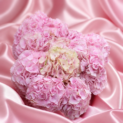 Bouquet de saison - Beauté d'Hortensia