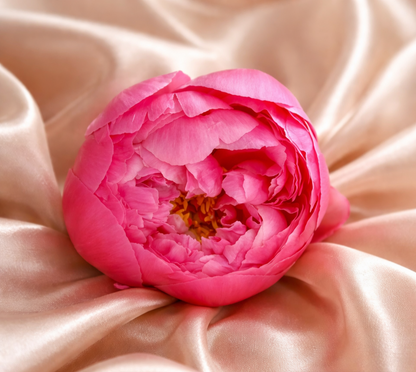 Bouquet annuel - Bijou