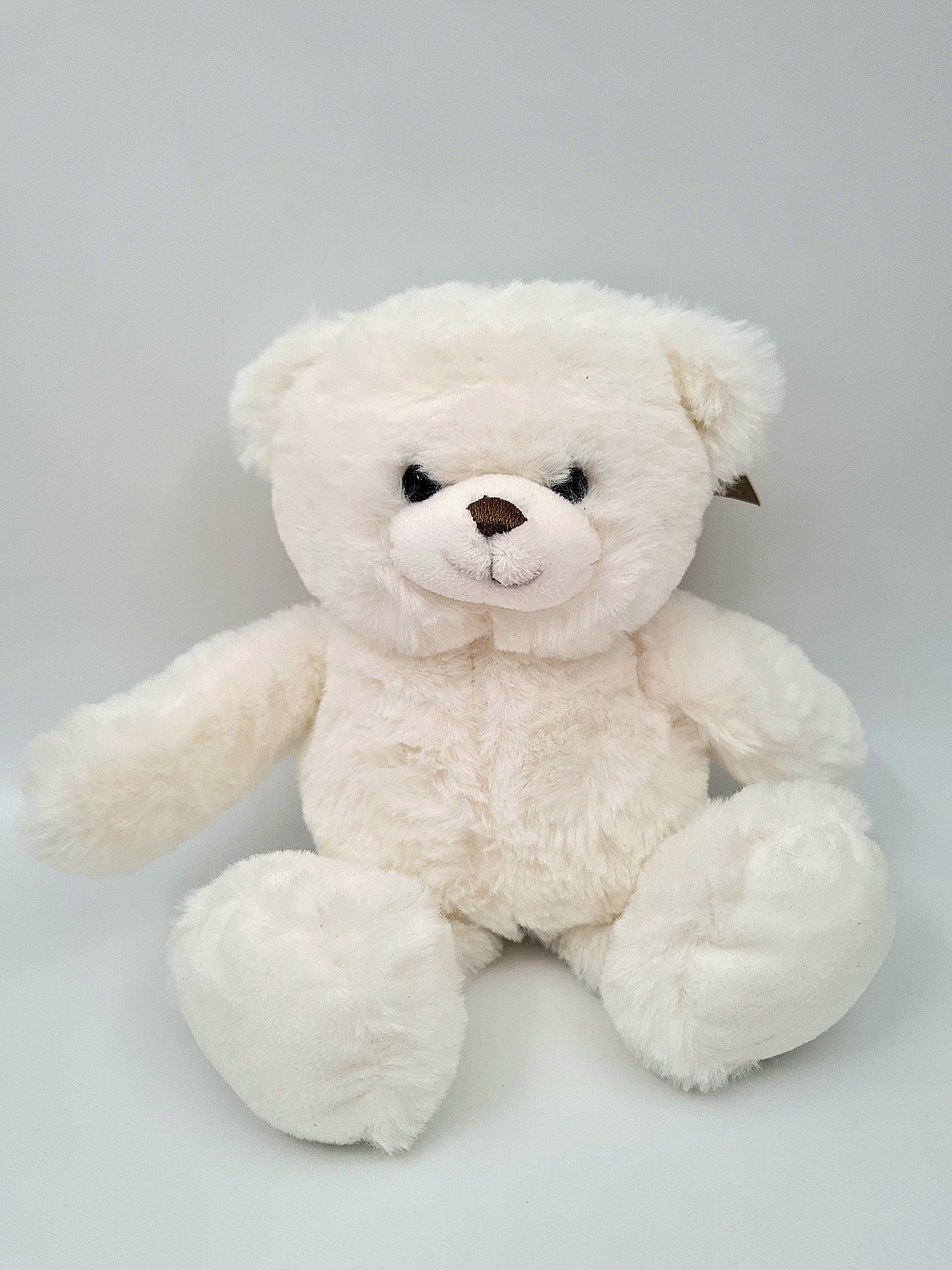 L'ours en peluche - Teddy bear