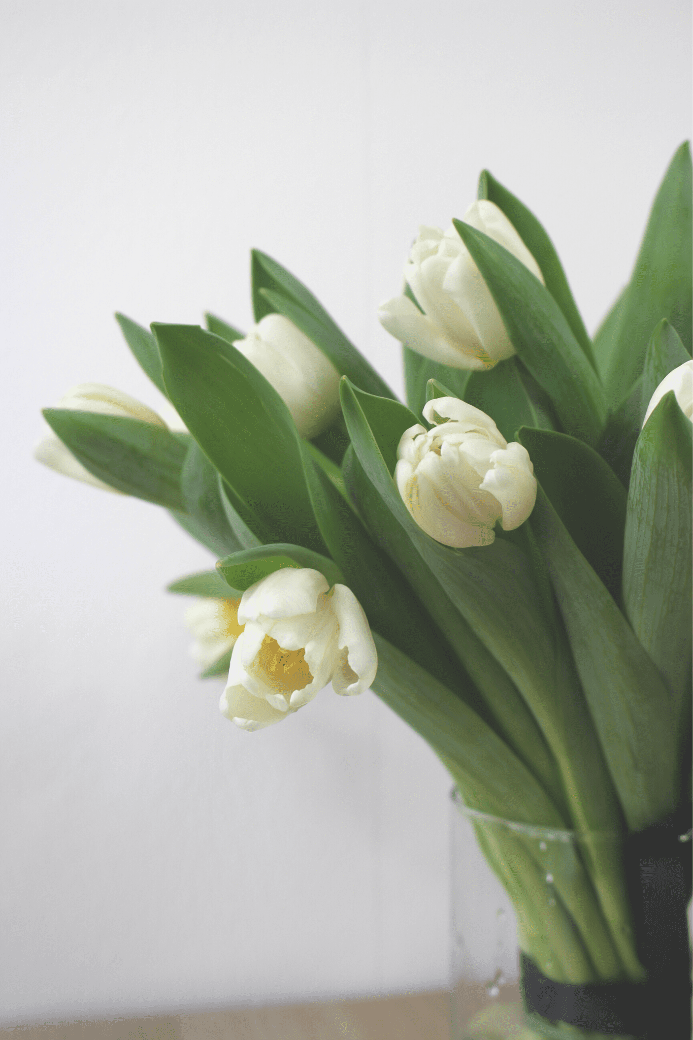 Bouquet de saison - Tulipes blanches/pastelles