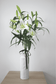 Bouquet annuel - Lys Blanc Oriental