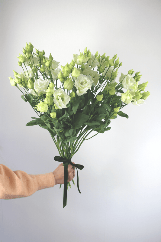 Bouquet annuel - Lisianthus
