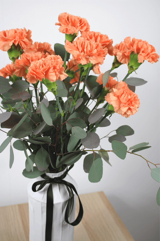 Bouquet annuel - Oeillets Coloré