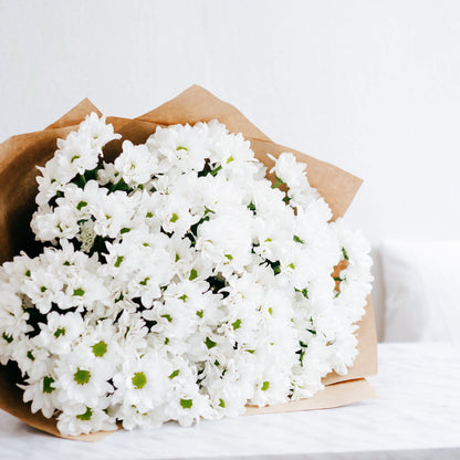 Bouquet annuel - Chrysanthèmes