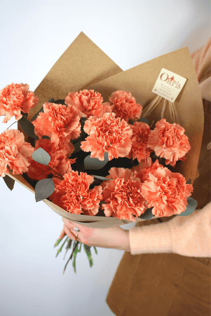 Bouquet annuel - Oeillets Coloré - Osiris Fleurs
