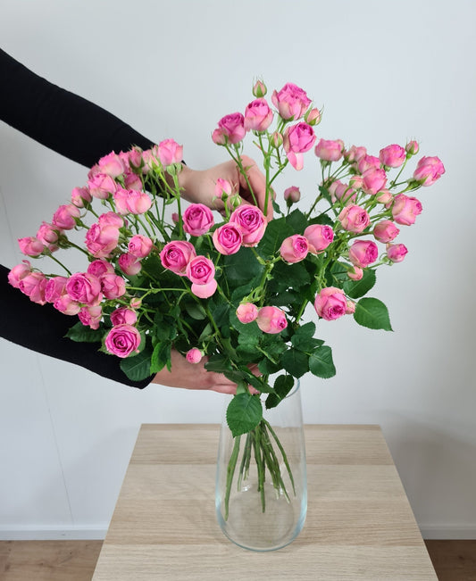 Bouquet annuel - Rose en branche - Osiris Fleurs
